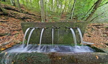 Yedigöller Milli Parkı