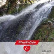 صالحابومحمد