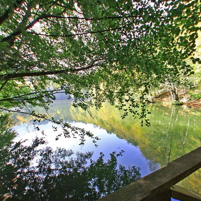 Yedigöller National Park (2008)