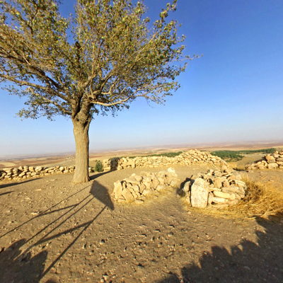 Kazı Alanı 3