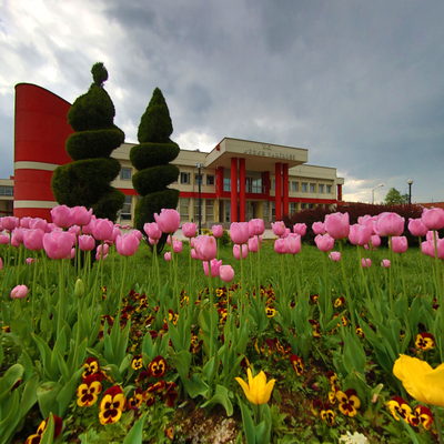 Düzce Other Virtual Tour Group