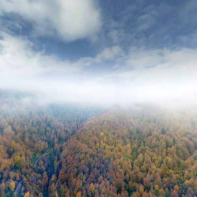 Duzce Autumn Aerial