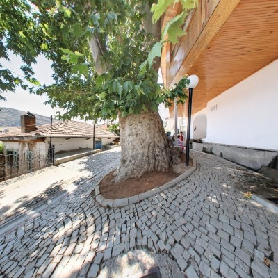 Ağaç 2