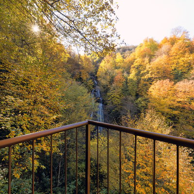 Düzce Day Trip to Waterfalls