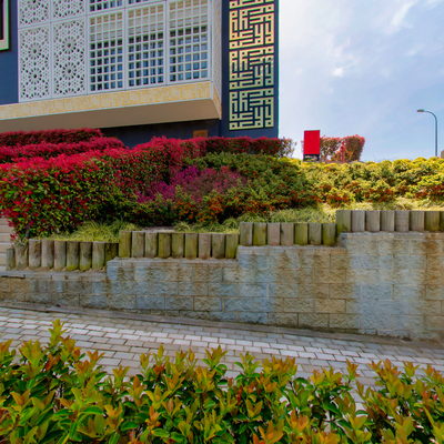 Bahçe 2