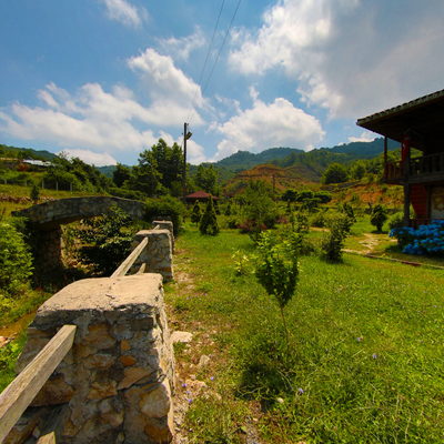 Bahçe 2