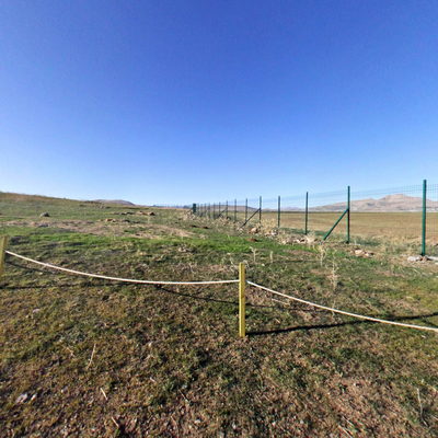 Çayönü Höyük