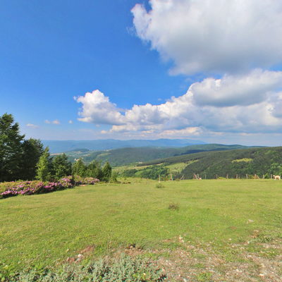 Bıçkıyanı Village Pasture