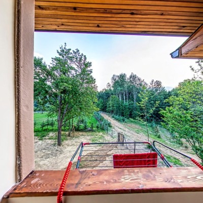 Beech Apartment (Balcony 2)