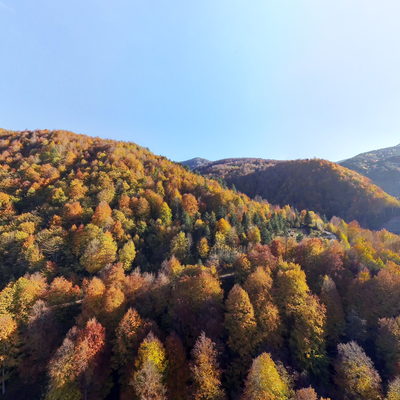 Güzeldere 1 (Sonbahar)