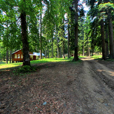 Orman İçi 1