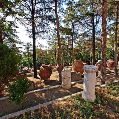 Bahçe 5
