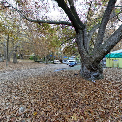 Zeyve Bazaar Recreation Area 