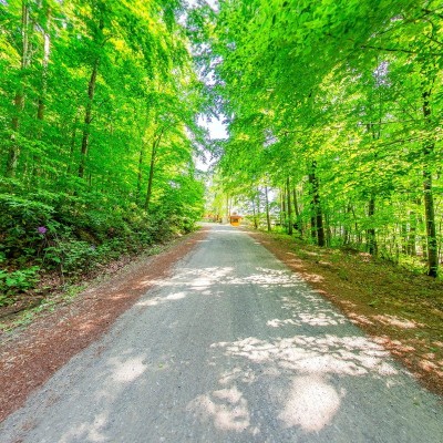 Beech Tree Road