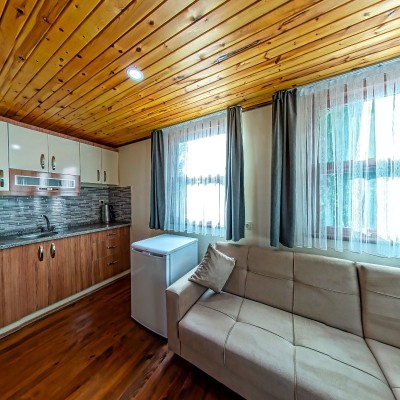 Chestnut Apart (Kitchen)